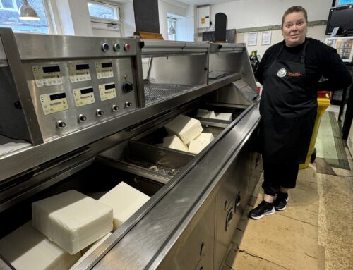 Meet the Team: The Real Stars Behind the Fryer